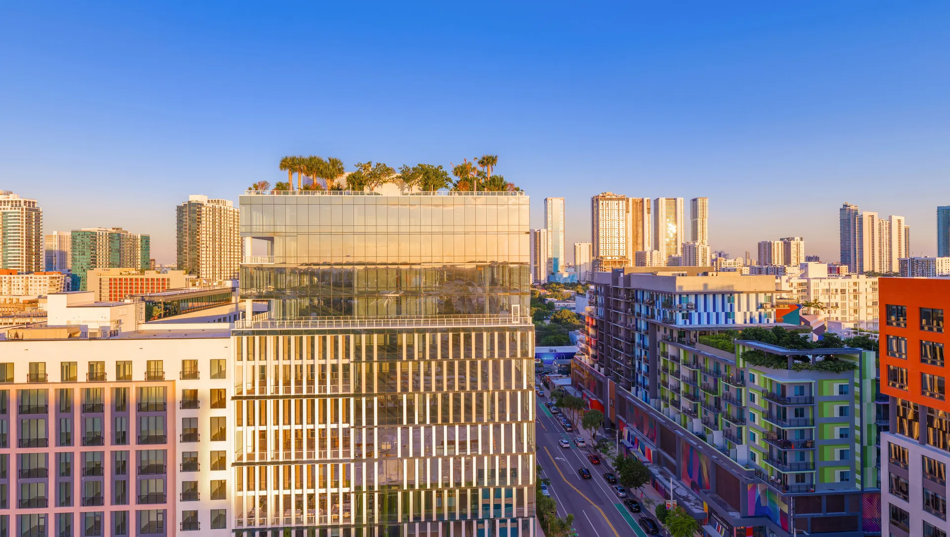Frida Kahlo Wynwood Residences visual 3