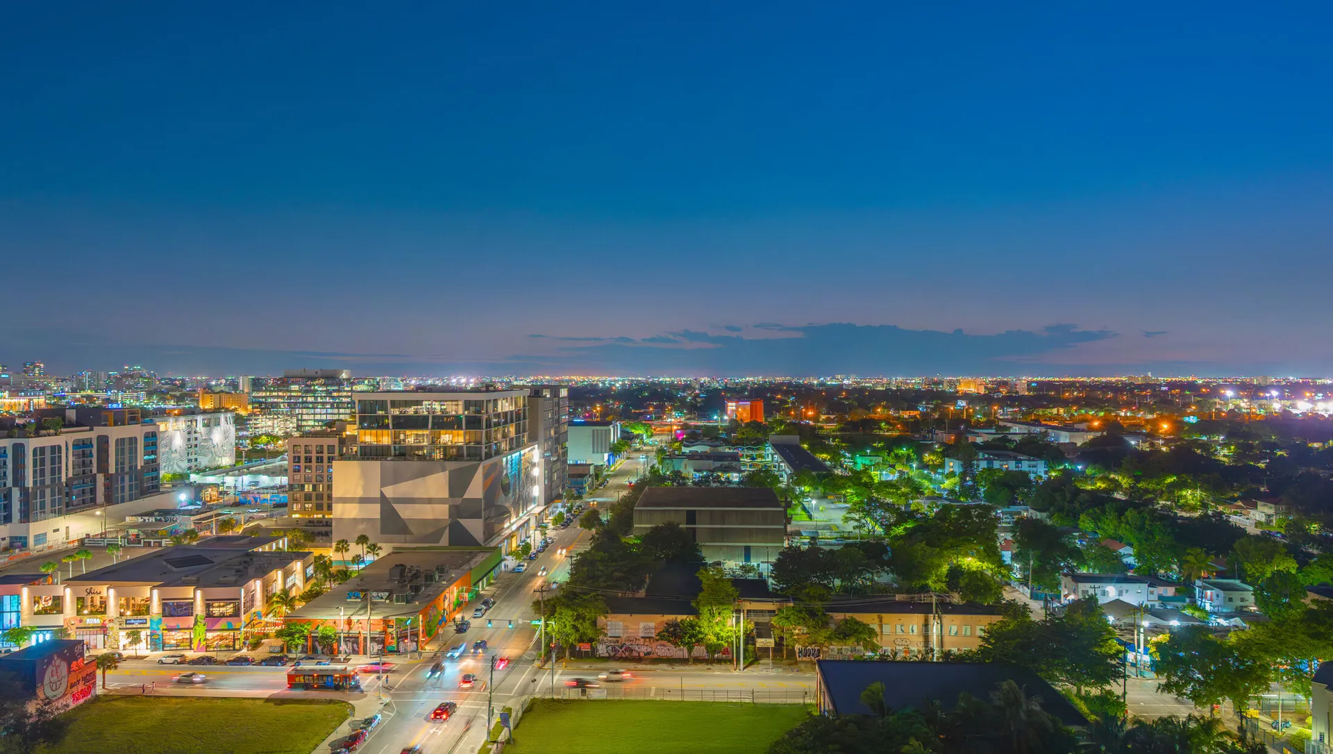 Frida Kahlo Wynwood Residences visual 5